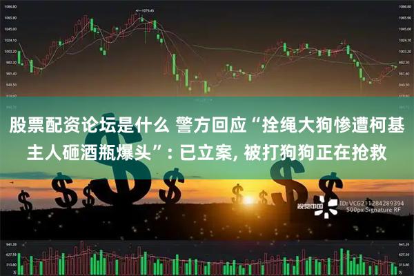 股票配资论坛是什么 警方回应“拴绳大狗惨遭柯基主人砸酒瓶爆头”: 已立案, 被打狗狗正在抢救