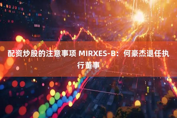 配资炒股的注意事项 MIRXES-B：何豪杰退任执行董事