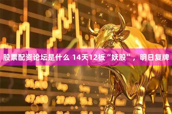 股票配资论坛是什么 14天12板“妖股”，明日复牌