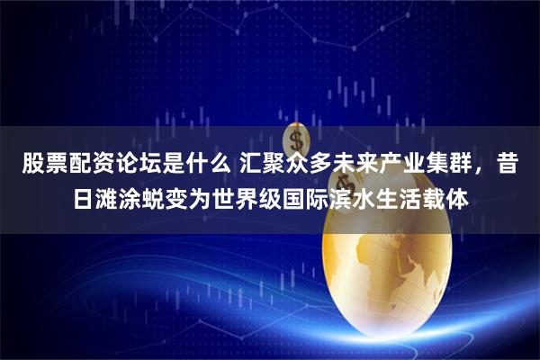 股票配资论坛是什么 汇聚众多未来产业集群，昔日滩涂蜕变为世界级国际滨水生活载体