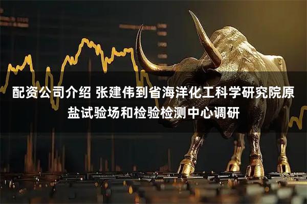配资公司介绍 张建伟到省海洋化工科学研究院原盐试验场和检验检测中心调研