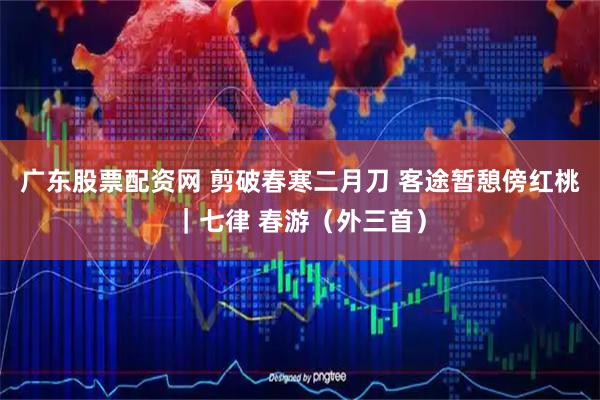 广东股票配资网 剪破春寒二月刀 客途暂憩傍红桃｜七律 春游（外三首）