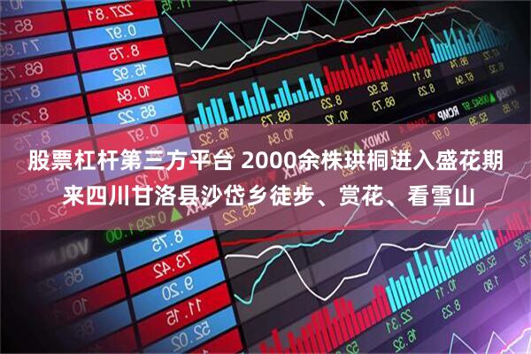 股票杠杆第三方平台 2000余株珙桐进入盛花期 来四川甘洛县沙岱乡徒步、赏花、看雪山