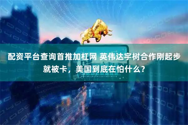 配资平台查询首推加杠网 英伟达宇树合作刚起步就被卡，美国到底在怕什么？